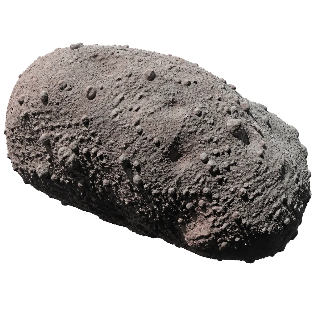 Meteoroid